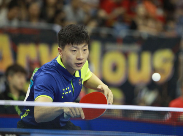 高价出售青 高价出售青