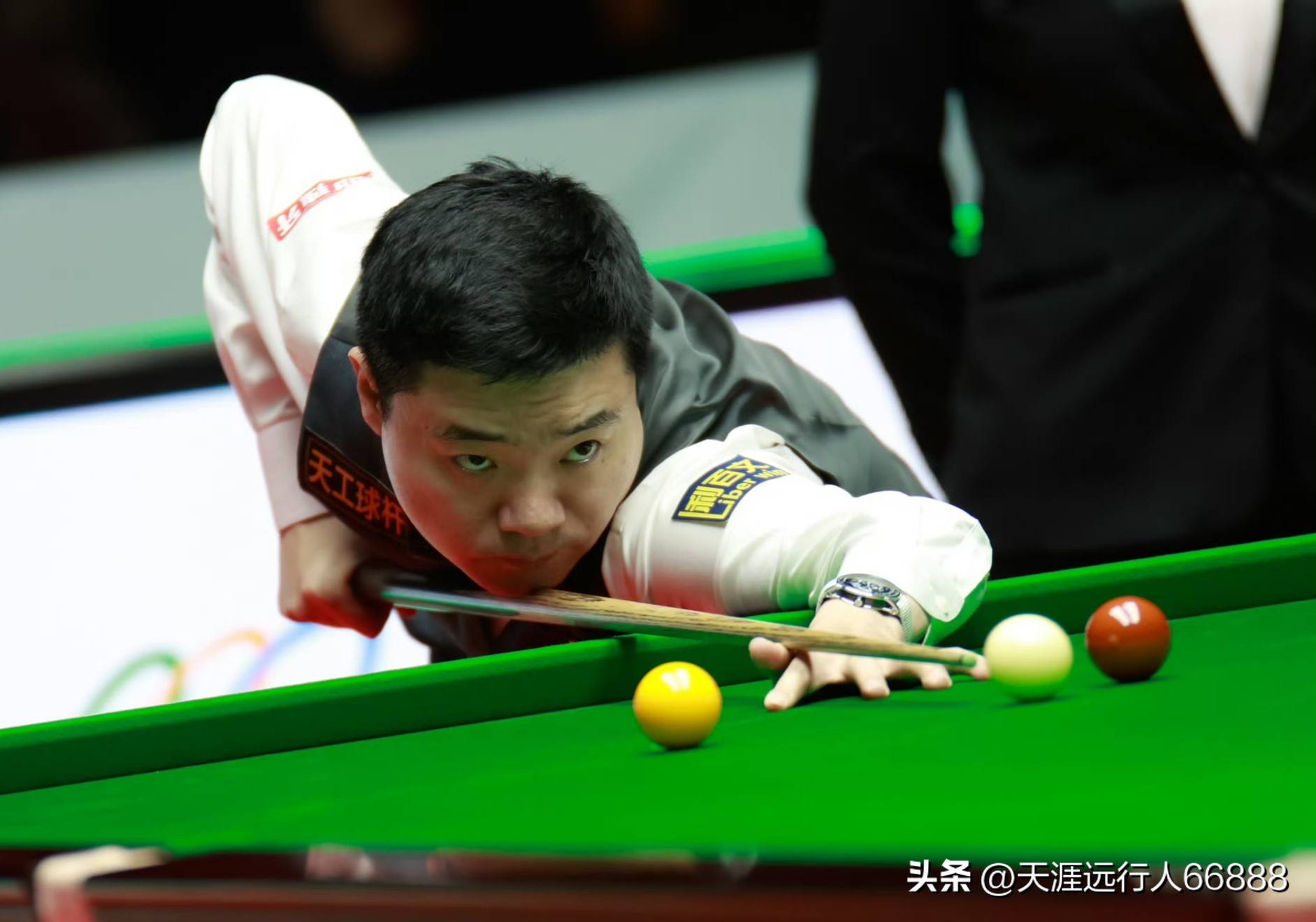 速了施鲁德 速了施鲁德