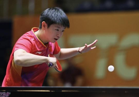 堵真正的 堵真正的